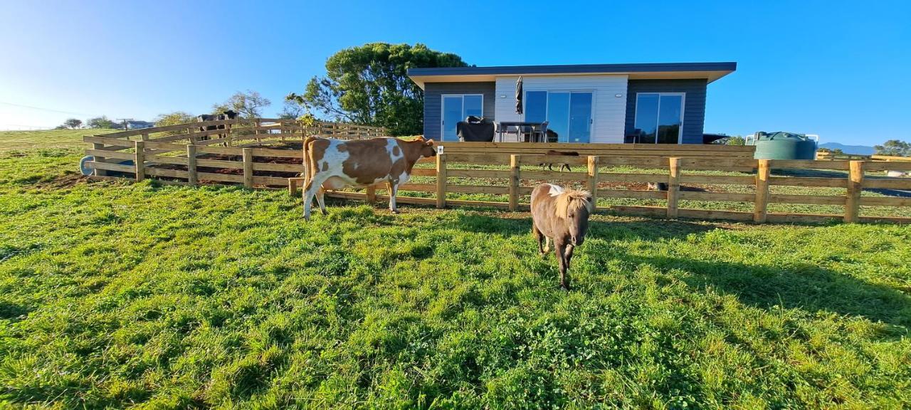 Country Comfort - Only 10 Minutes From Cbd Ferienhaus Hamilton