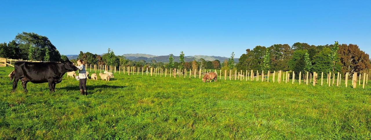 Country Comfort - Only 10 Minutes From Cbd Ferienhaus *