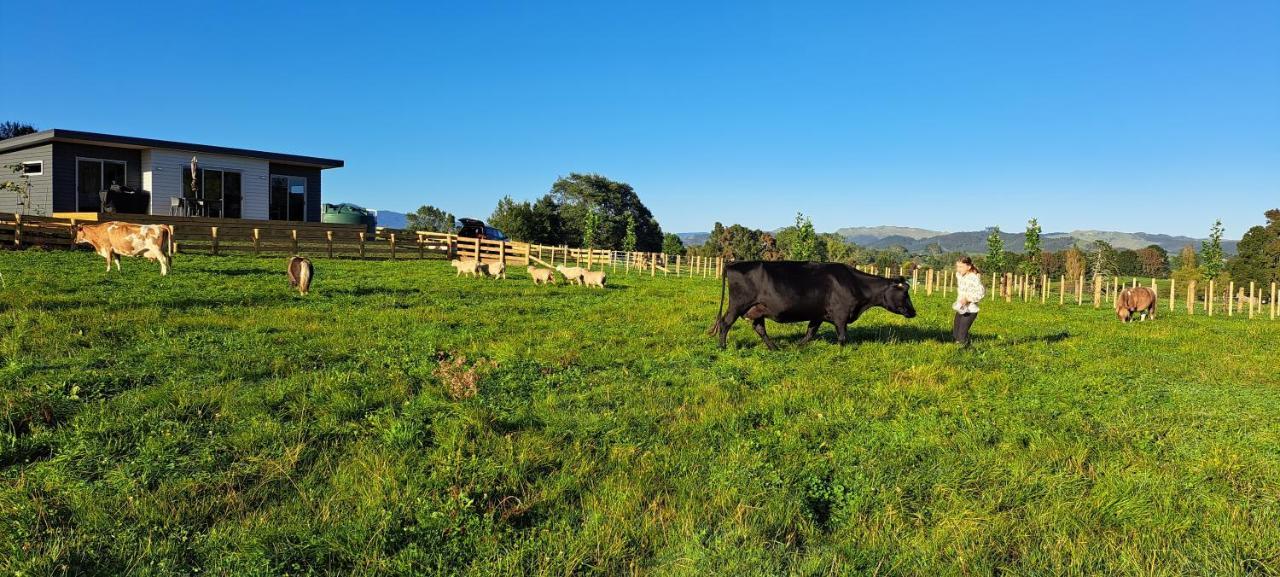 Country Comfort - Only 10 Minutes From Cbd Ferienhaus *